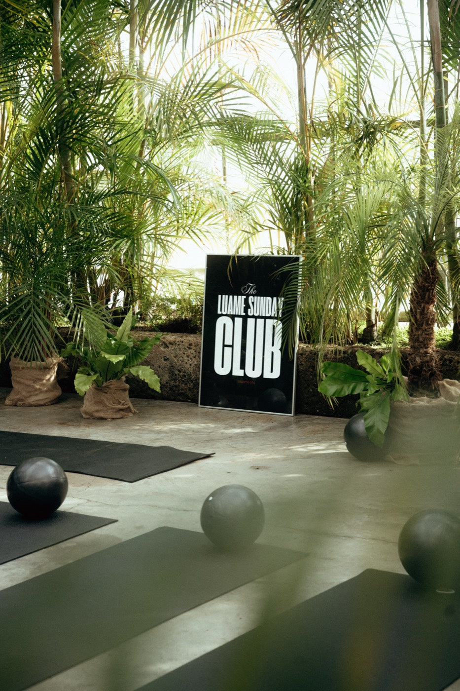 jungle glasshouse