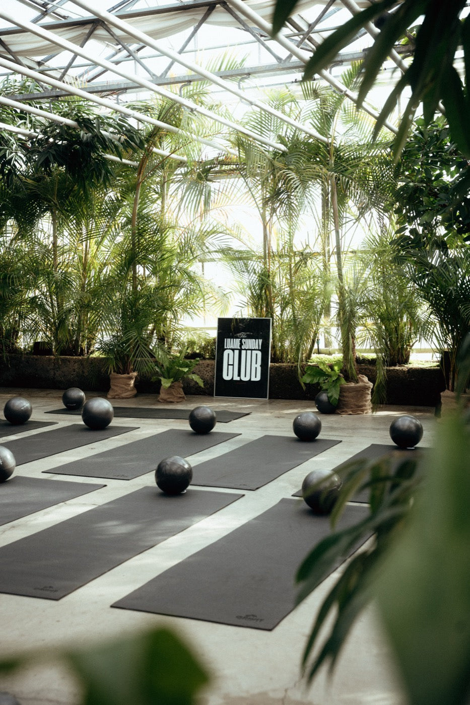 jungle glasshouse.