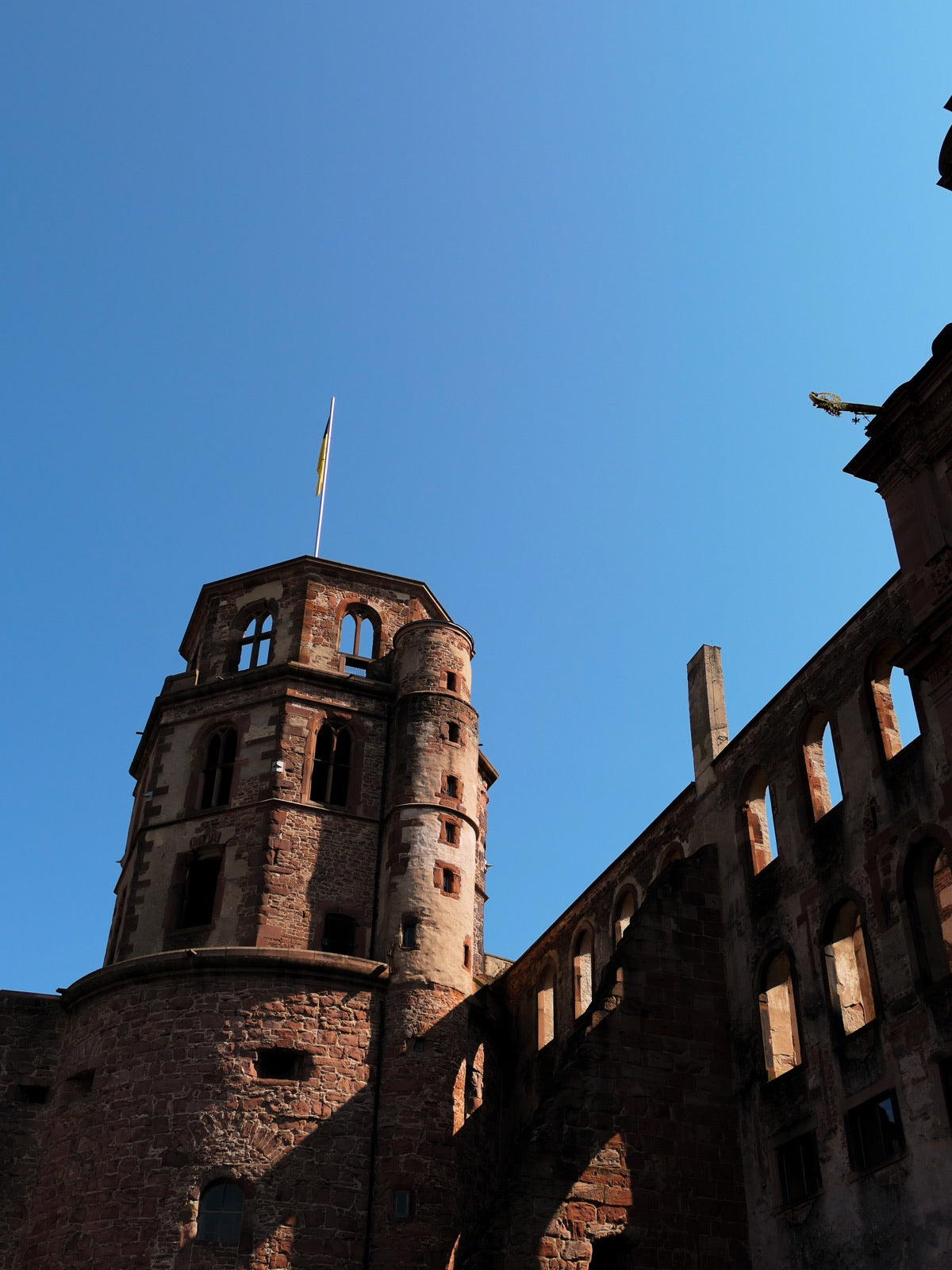 schloss heidelberg