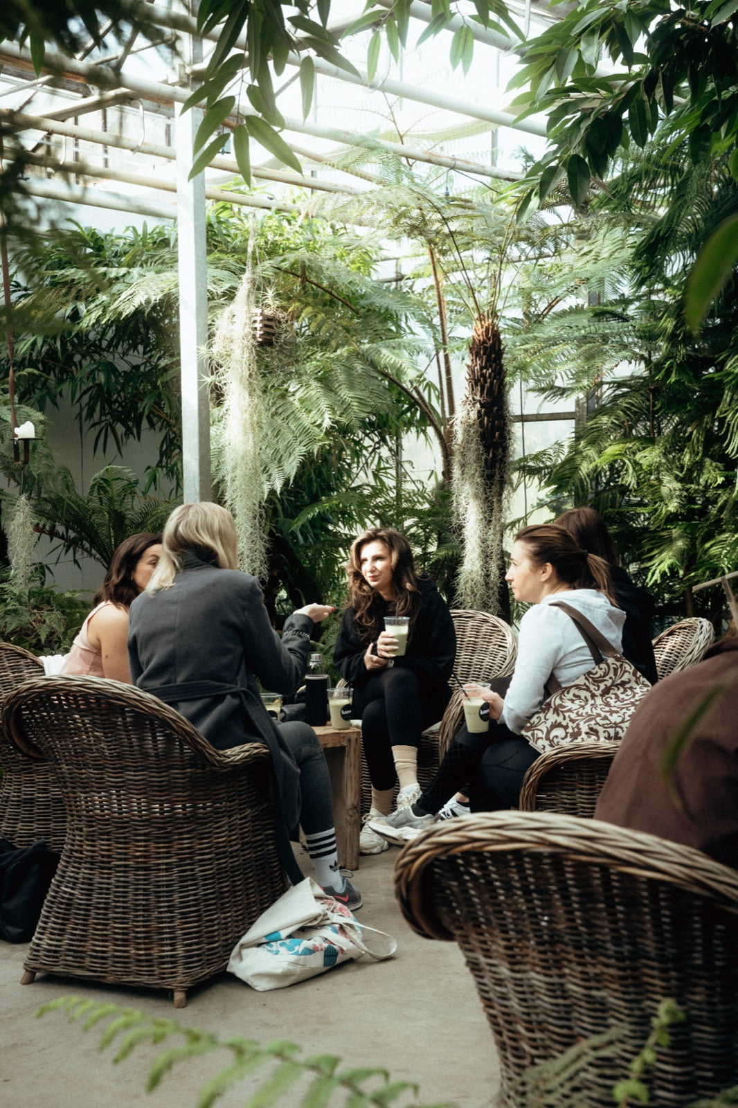 sunday club jungle glasshouse.