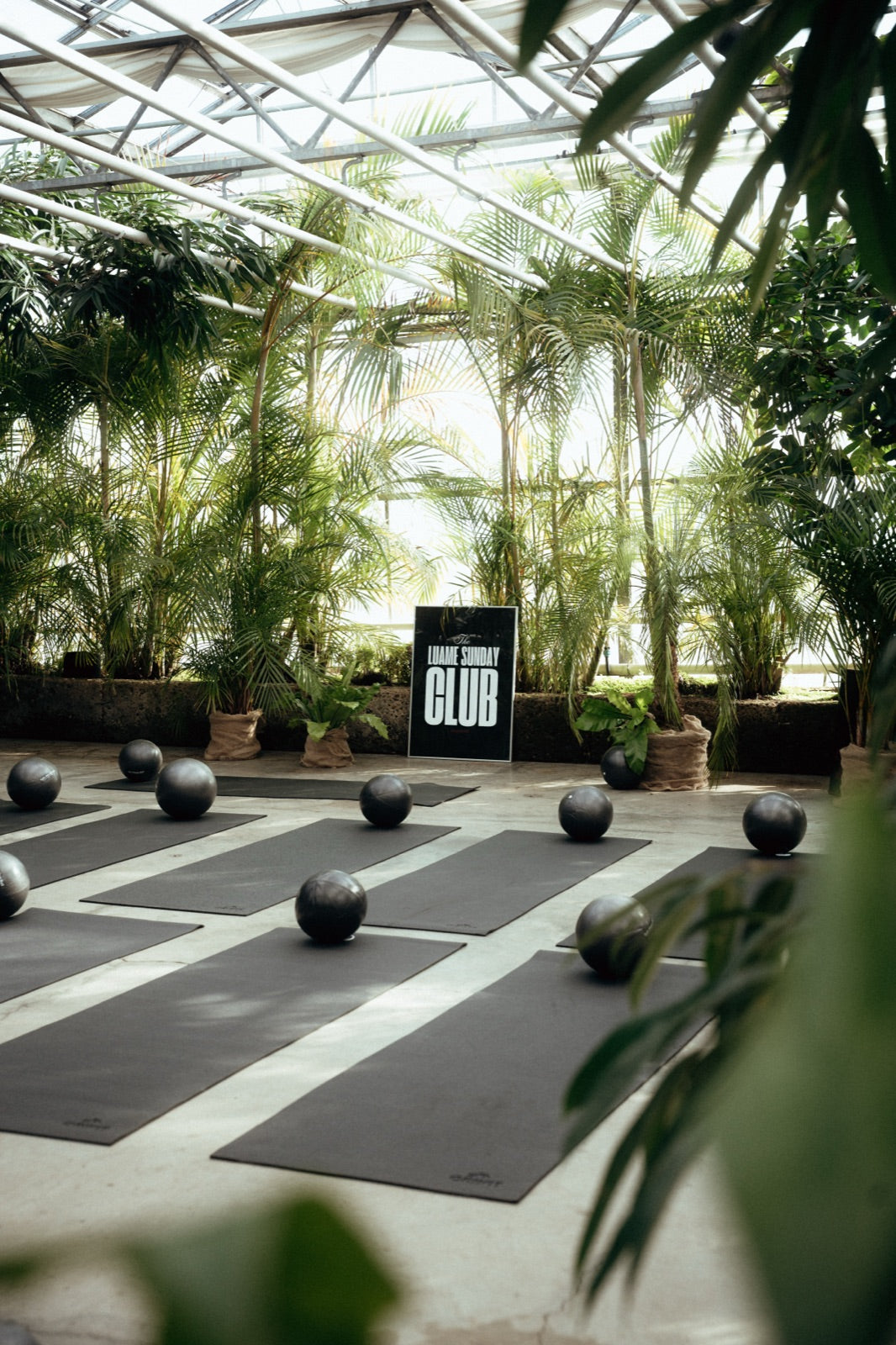 sunday club jungle glasshouse.